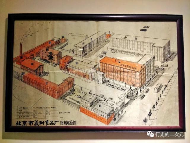 快乐|北冰洋回来了,你的快乐回来了吗?