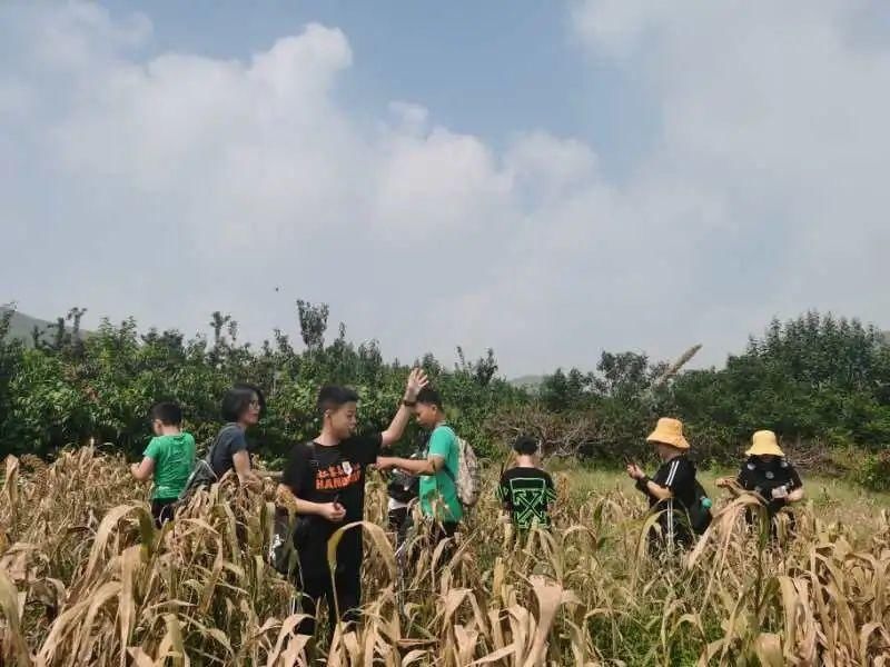  困难|文明实践在潍坊 | 潍坊市志愿服务传递人间大爱！