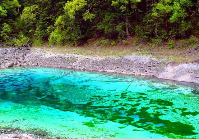  九寨沟|四川旅游：人间仙境九寨沟（图）