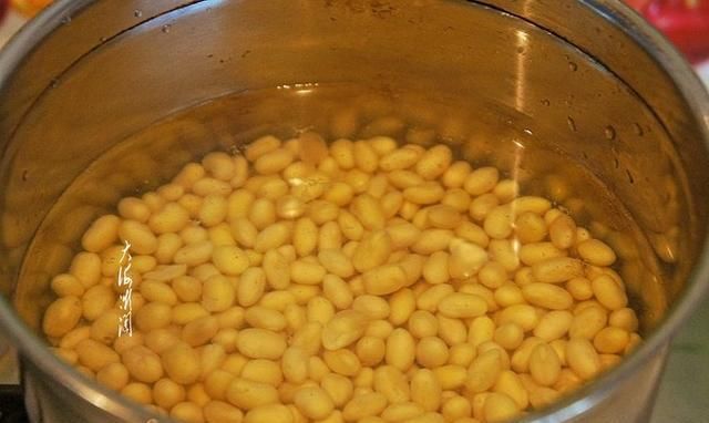 原产地|它是日本人长寿的小秘诀，原产地其实是中国，很多人还不知道