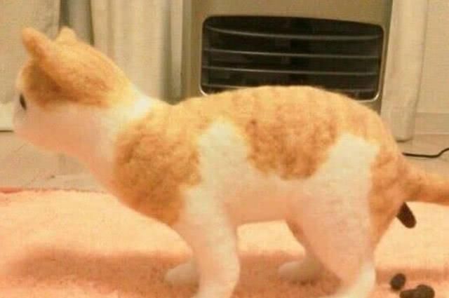  母亲|主人对母亲恶作剧，在客厅做了个猫摆件，看到这一幕母亲气笑了