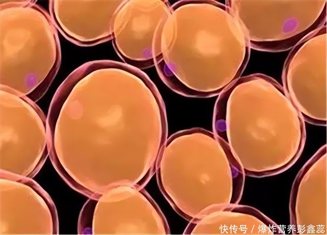 为什么有人喜欢吃油大的(为什么人喜欢吃油大的食物？不是因为你有多馋，而是身体本能？)