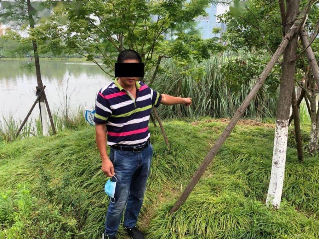  惨遭毒手|怒！和合公园里4颗黑天鹅蛋惨遭毒手！鹅妈妈都抑郁了…