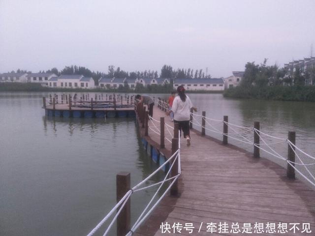  河南省|河南省民权县任庄国家湿地公园快来看，这里的千亩荷花开了