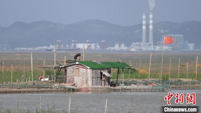 应急响应提升至Ⅱ级|浙江启动II级防台风应急响应