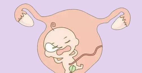  宝宝|宝宝没出生之前，每天在妈妈的肚子里做些什么？会经常做这7件事