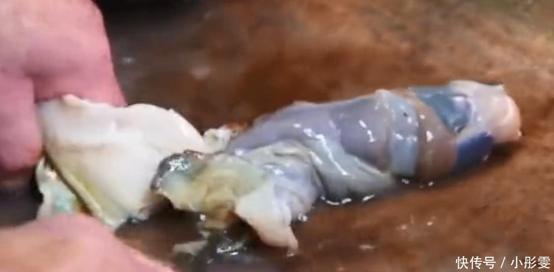 渔民|米其林厨师用刀“豪取”螺肉,渔民看到后怒了:不懂就别瞎做!