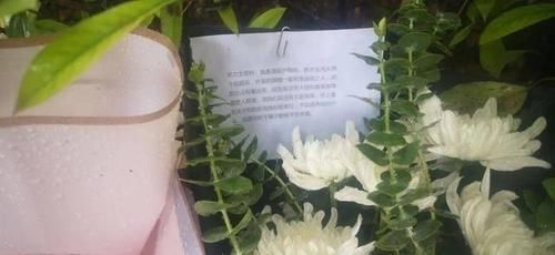 疑似|杭州杀妻嫌犯疑似涉及另一桩命案 起底杀妻嫌犯许某某的人生