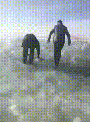 据说|搞笑GIF：据说是宝马出的新车