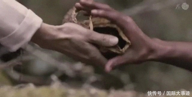 离家出走|被父母家暴后,13岁男孩离家出走到深山,一呆就是43年