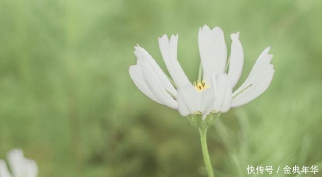 温暖|浅浅擦肩，温暖相遇