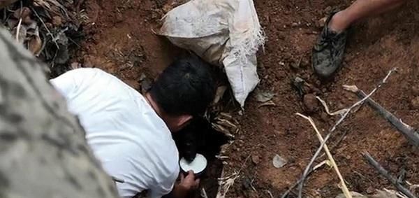  土下|山体滑坡将60斤的大狗埋在土下，37天后，大狗得救却瘦至10多斤