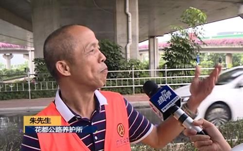  局部|花都：路面发生局部坍塌 电单车经过掉入其中