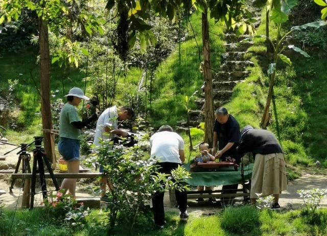  时间|“木虫”钻进互联网