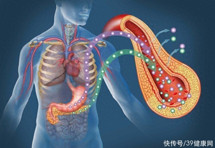 再三提醒：酒后出现3个症状，可能是“胰腺炎”来了，别不当回事2023