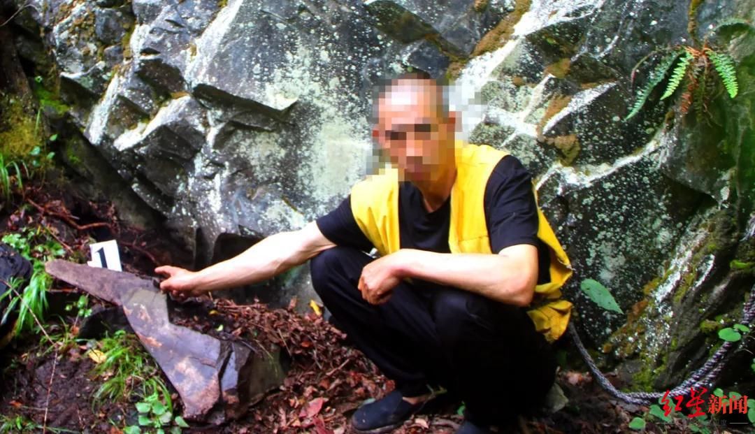 移送|愤怒！才出生几个月，国家一级保护动物野生羚牛宝宝被杀害 嫌疑人被移送检方