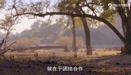  佳作|豆瓣预定超9分的佳作：原来我们错过许多惊喜，真遗憾没早点看到