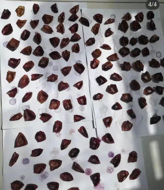 没输|“论家庭地位，我就从来没输过！”哈哈哈算不算给男人长脸了？