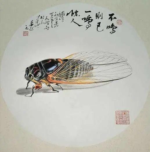 福泽|玉雕蝉的禁忌,你都了解吗?戴对才能腰“蝉”万贯、福泽一生!