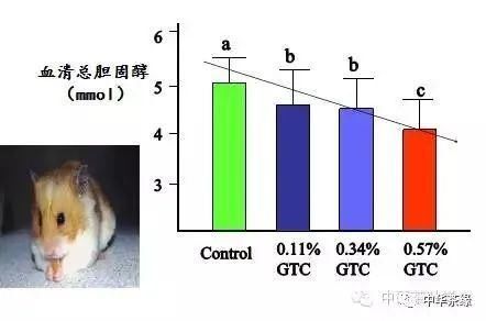 喝茶|陈宗懋院士公开课：“饮茶与健康”之茶叶功效内容精要