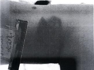 男子|男子持1米长棍殴打防疫人员 获刑八个月