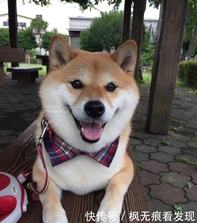 下车|幽默笑话:今天坐公交,到站了,一大妈抱着一麻袋西瓜要下车