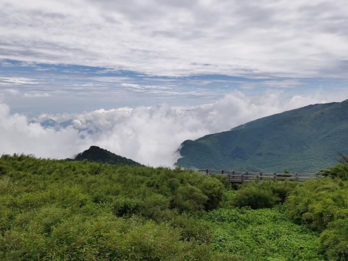 景区门票|国内游打卡去哪儿?全国各地旅游免门票政策和攻略汇总来了