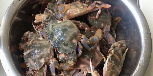  螃蟹|螃蟹别再蒸着吃了，这样一做外酥里又嫩，炒了一大盘硬是不够吃！