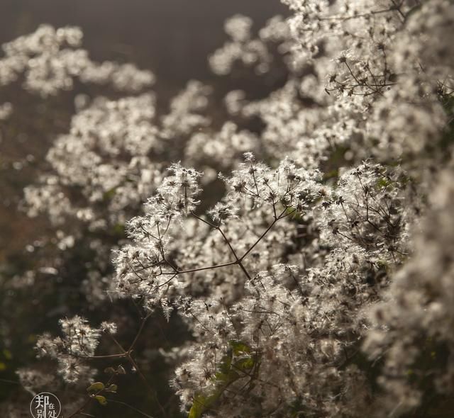  七彩|千里走西北（2）：七彩丹霞到底有多美？这篇图文路线，让你看懂