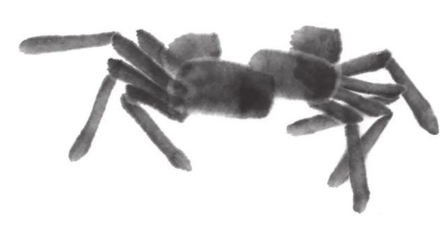  画法|怎么画鱼虾蟹蛙、写意《趣》画法