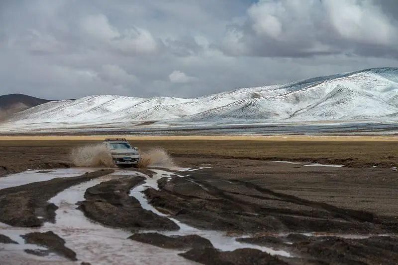  深圳|可可西里的守护者！深圳男子用镜头记录荒原上的藏羚羊