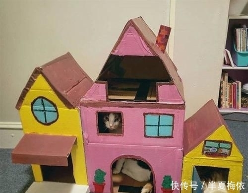 豪华|有才!外国网友用废纸箱,给喵星人打造豪华城堡