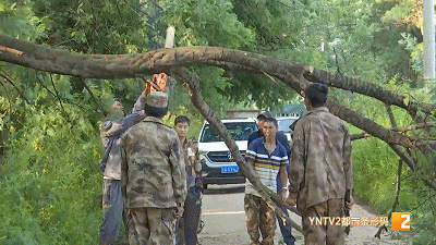 喜欢|“把我所学的、我的爱好传给喜欢的学生”陡普鲁小学里的拳击教练