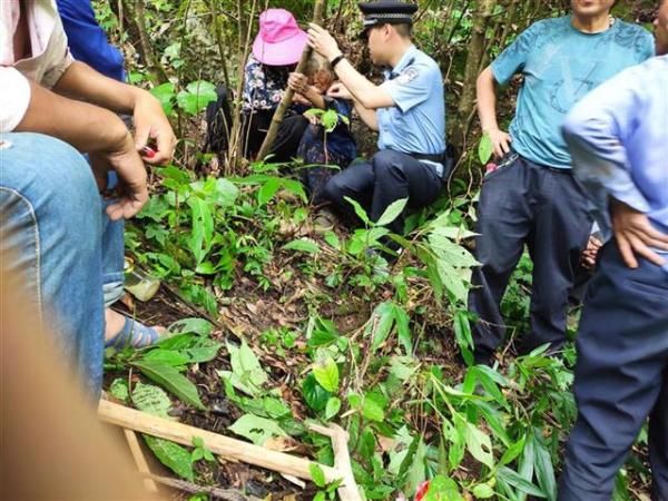  警民|94岁老母寻子迷失深山，喝石缝滴水续命3天后等来警民将其救回