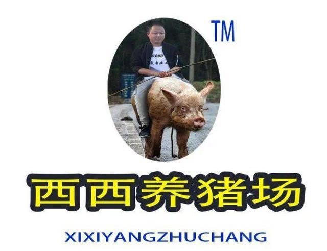  总监|设计总监开的养猪场，终于要换新LOGO了