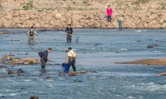 作案|顶风作案！又抓了一批，蒙山人很多人也爱做！千万不要碰了...