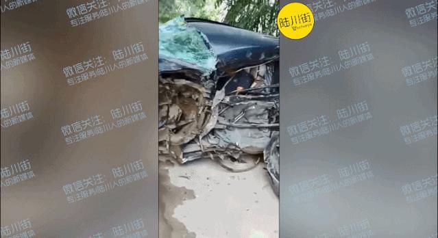  二级|要紧！陆川二级路发生严重车祸，小车司机被卡在车里……