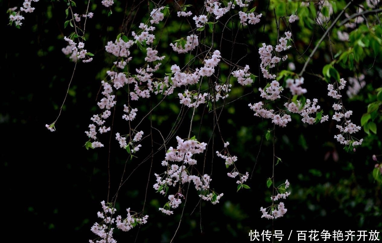 收获|苛求完美的几大星座,运势迎来大逆转,生活中不断有收获