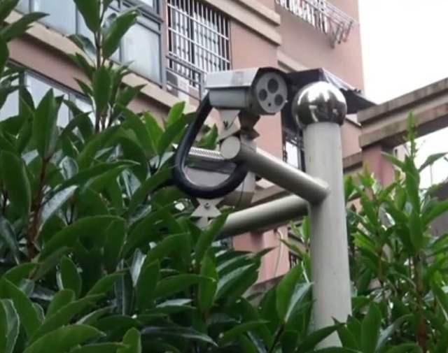  离奇失踪|杭州来女士离奇失踪，至今没有破案，事实的真相是什么？