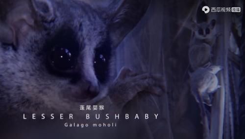  佳作|豆瓣预定超9分的佳作：原来我们错过许多惊喜，真遗憾没早点看到