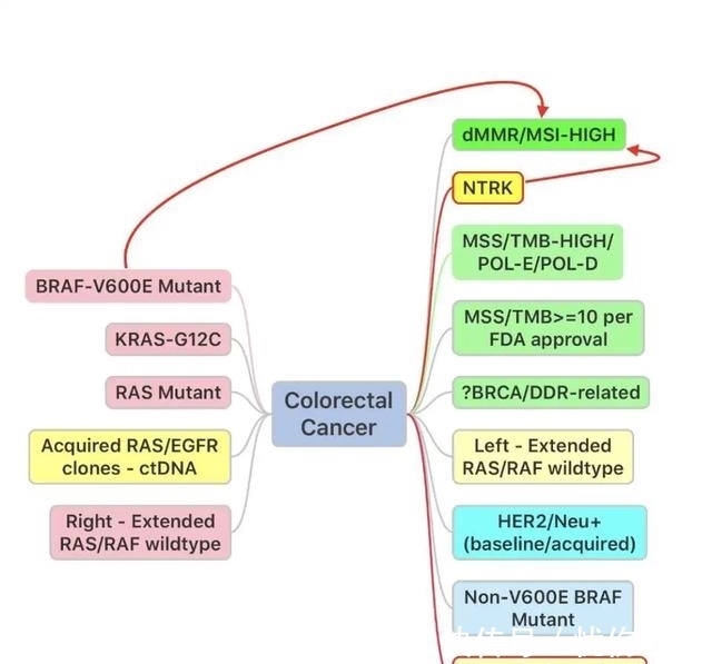 肿瘤|消化道肿瘤十大明星靶点强势来袭,靶向免疫新药新方案不断