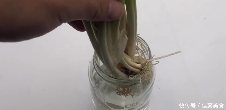  小葱|小葱插进杯子里，真是厉害了，可惜今天才学会，看完我也去试一试