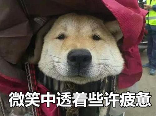 家庭|烂透的原生家庭:我才22岁,凭什么要抚养2岁的弟弟!