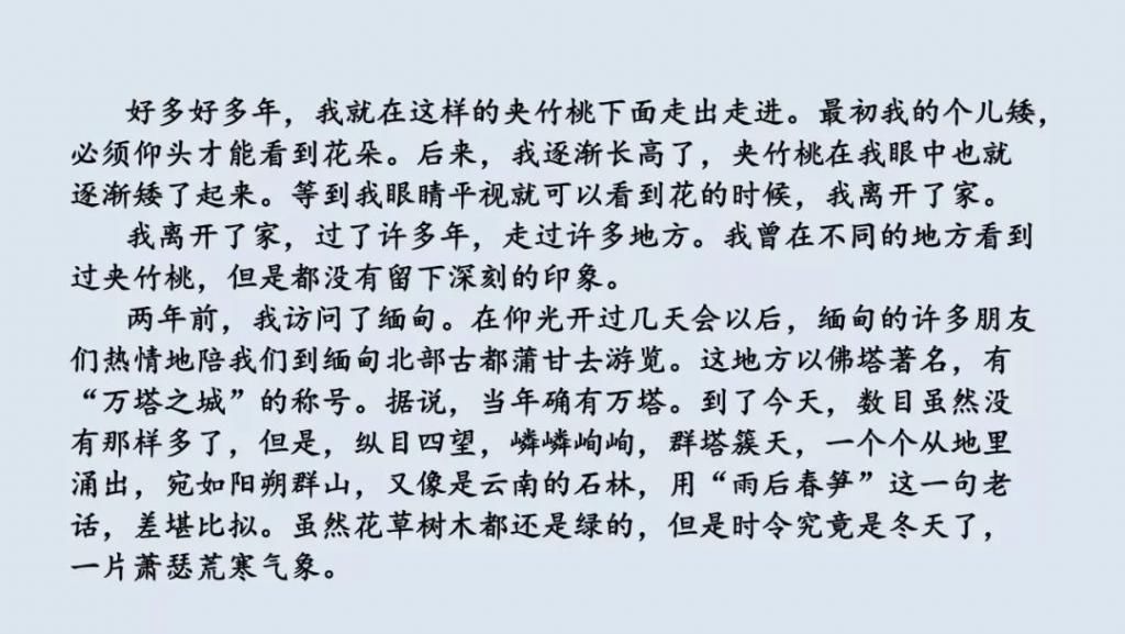 桂花|【预习】部编版五年级语文上册第3课《桂花雨》图文讲解