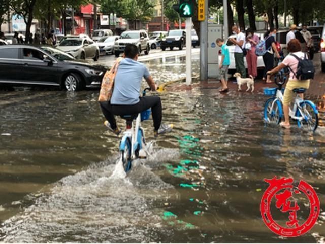 哈尔滨市|持续一小时的急雨 令哈尔滨市低洼路段成泽国