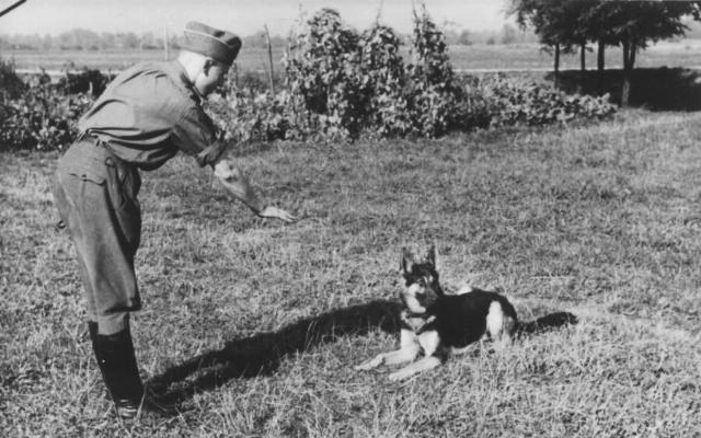 奥斯维辛集|幸好发现了这本相册,才知道了纳粹集中营副指挥官私生活的样子