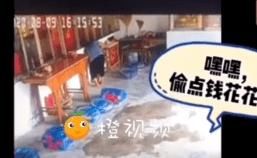  看管|奶奶负责看管寺庙，孙子竟偷“功德箱”