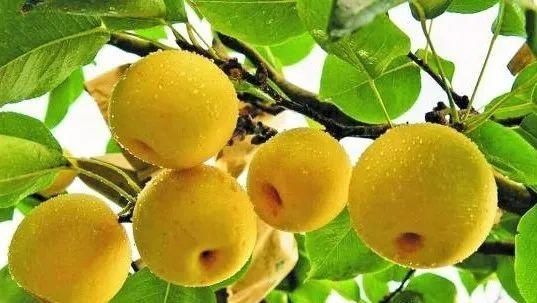  涌溪上涌段|这里让人艳羡的绝不止“中国白”，还有如画山水、富美田园