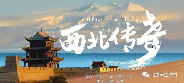  八道桥|为什么10月不能错过额济纳？详细攻略！不要错过这个秋天...