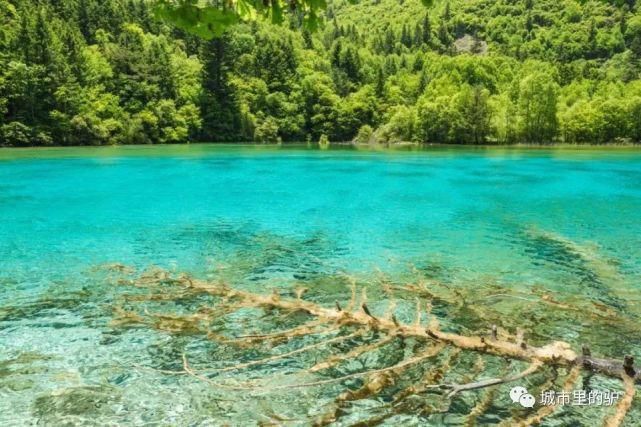  长白山|三伏暑热天，让我带你去这些只有25°的地方纳凉吧！